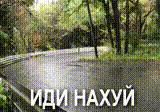 HAXYU IDI